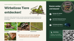 Flyer Wirbellose Tiere entdecken